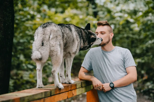 Dónde estudiar etología canina